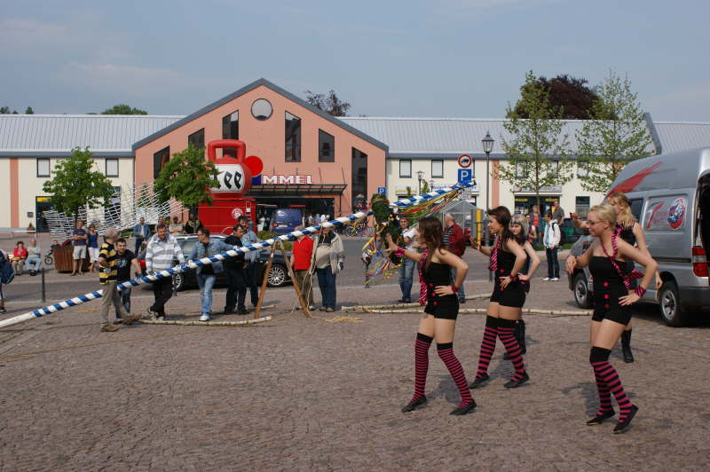 maibaum_2011_12