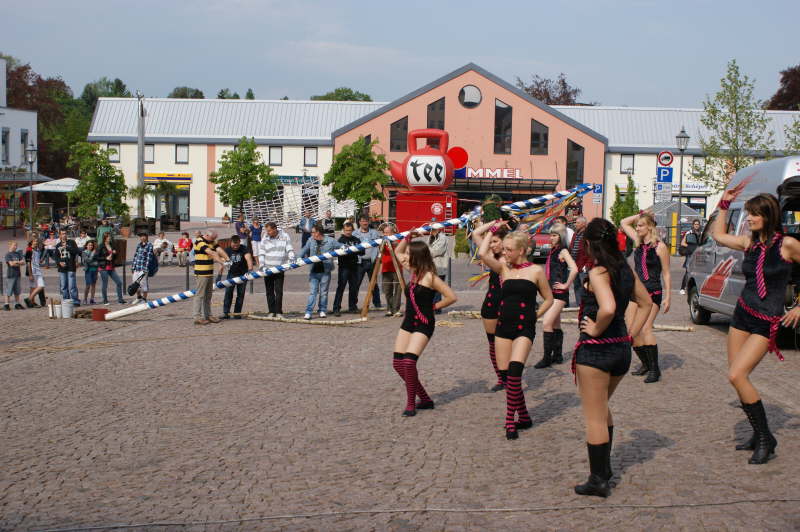 maibaum_2011_13