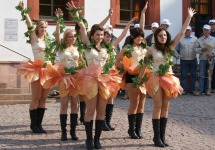 maibaum_2011_06